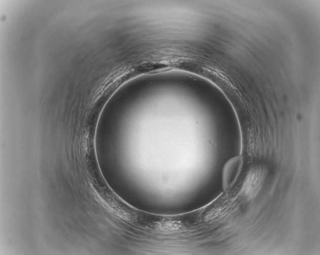 X0000059060451200510101053