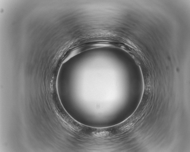 X0000059060452200510101053