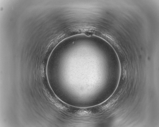 X0000059060453200510101053