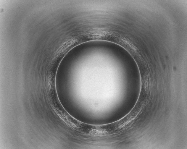 X0000059060455200510101053