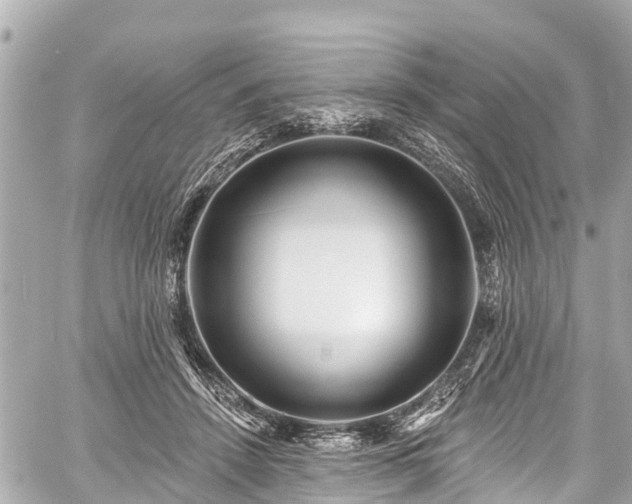 X0000059060456200510101053