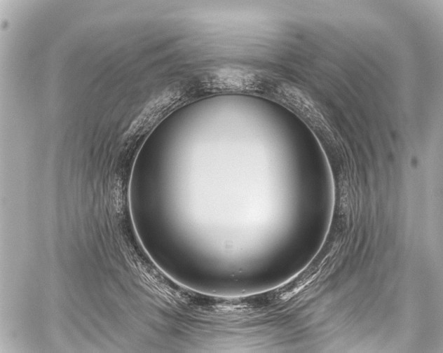 X0000059060457200510101053