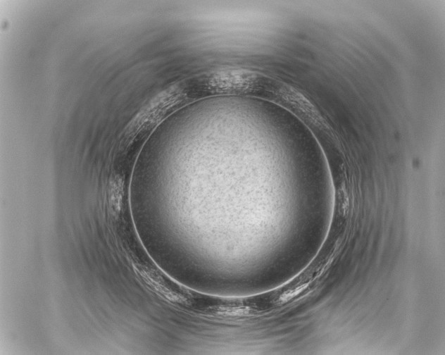 X0000059060458200510101053