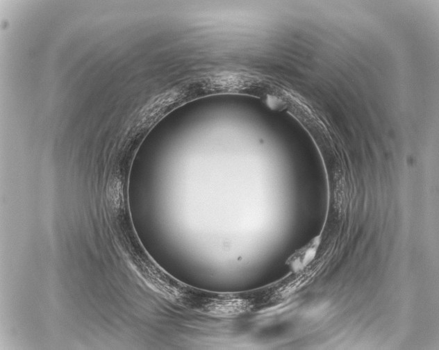 X0000059060459200510101053