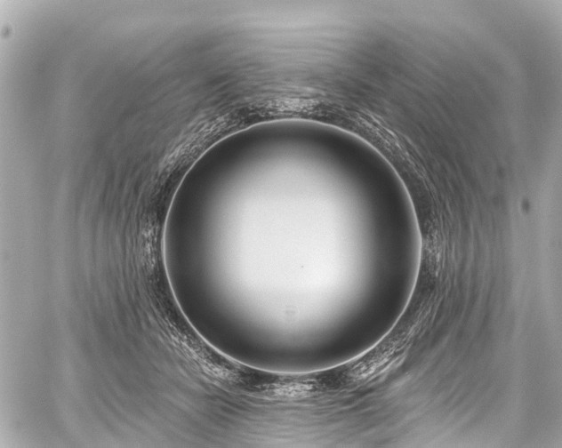 X0000059060462200510101053