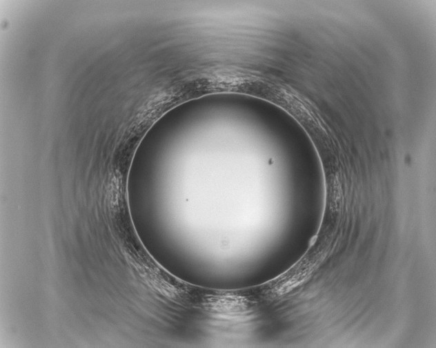 X0000059060463200510101053