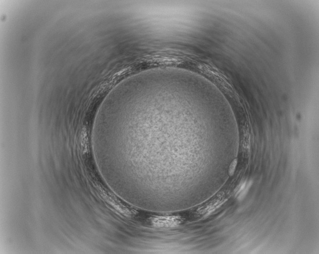 X0000059060465200510101053