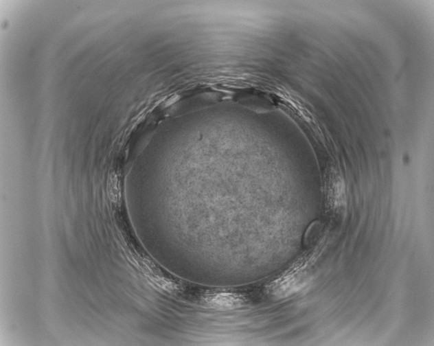 X0000059060467200510101053