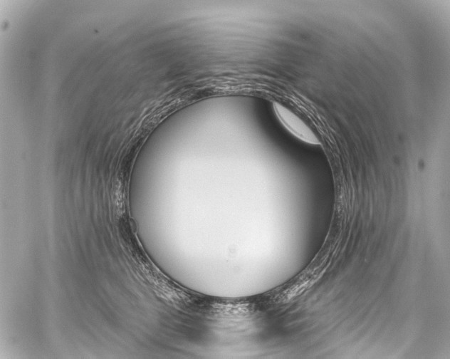 X0000059060469200510101053