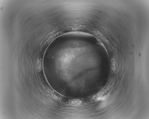 X0000059060471200510101053