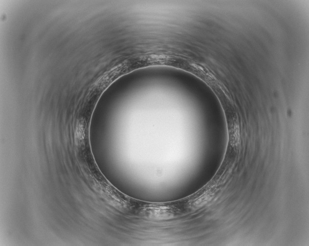 X0000059060472200510101053