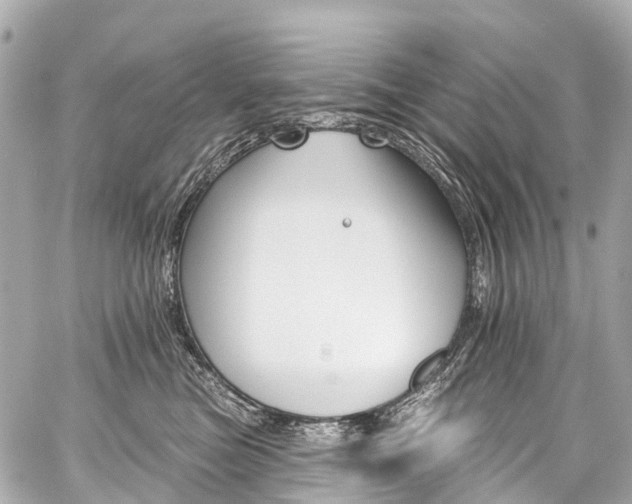 X0000059060473200510101053