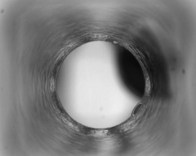 X0000059060474200510101053