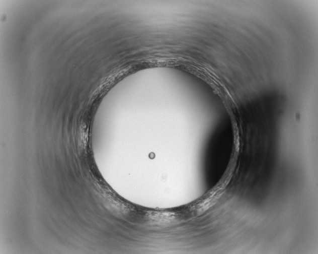 X0000059060476200510101053