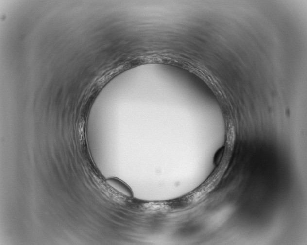 X0000059060477200510101053