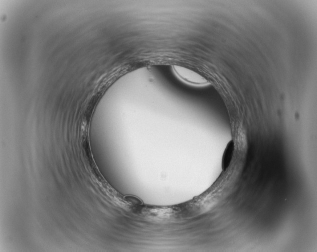 X0000059060478200510101053