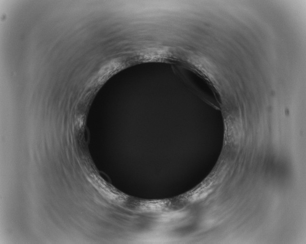 X0000059060479200510101053