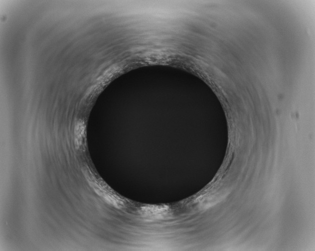 X0000059060480200510101053