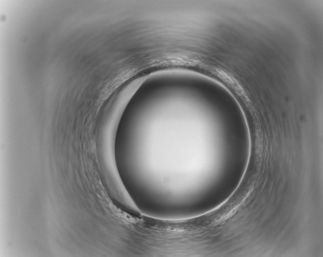 X0000059060481200510101053