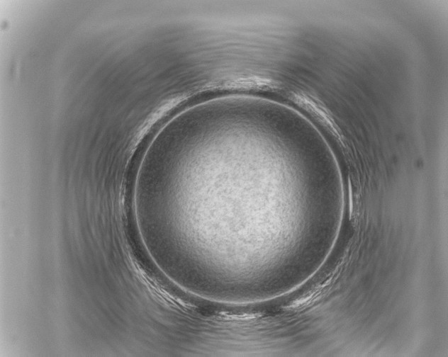 X0000059060483200510101052