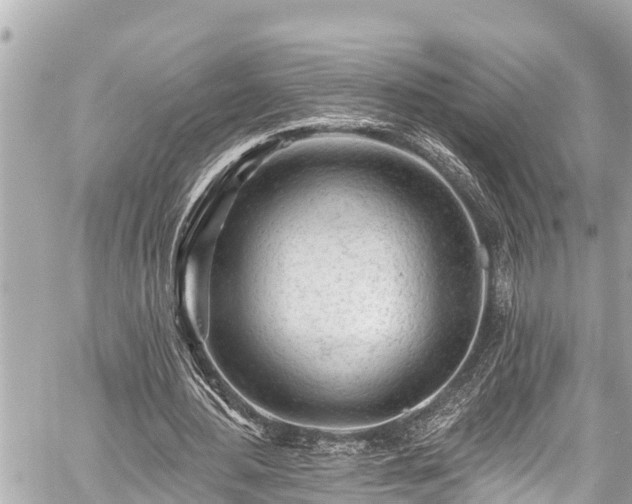 X0000059060484200510101052