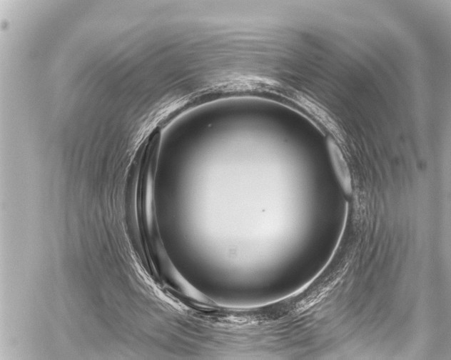 X0000059060485200510101052