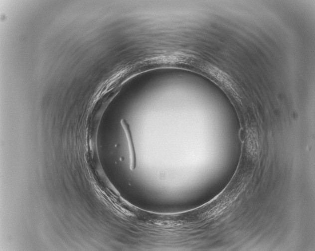 X0000059060486200510101052