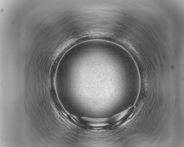 X0000059060488200510101052