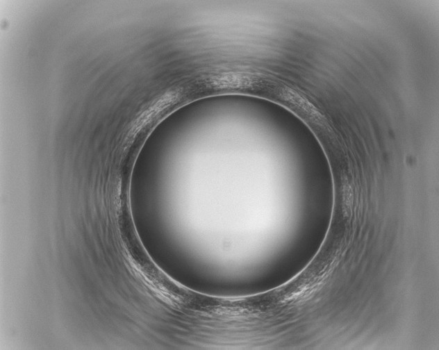 X0000059060490200510101052