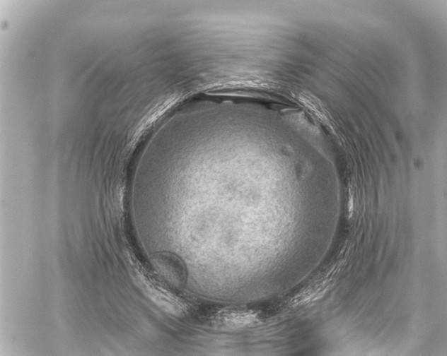 X0000059060491200510101052