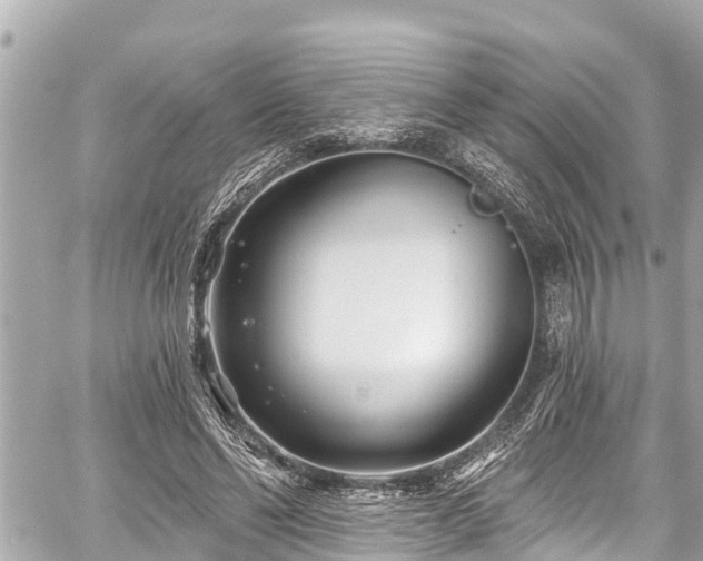 X0000059060494200510101052