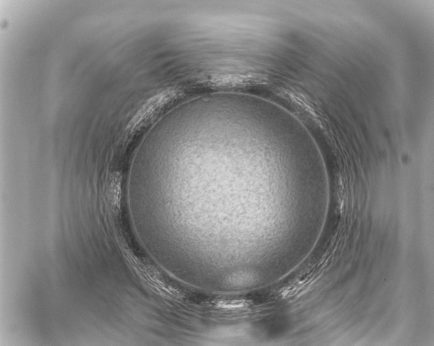 X0000059060495200510101052