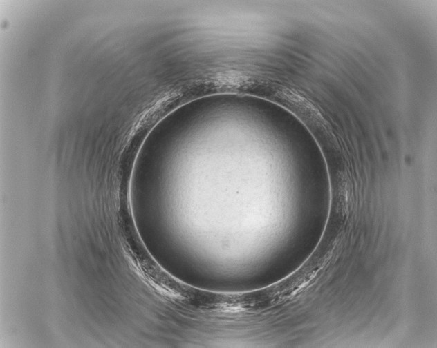 X0000059060496200510101052