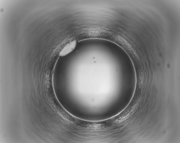 X0000059060497200510101052