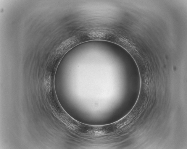 X0000059060498200510101052