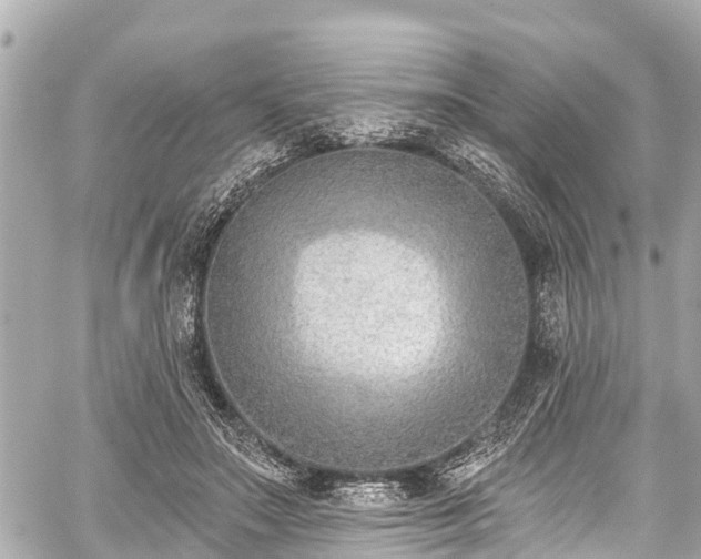 X0000059060499200510101052