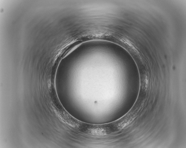 X0000059060500200510101052