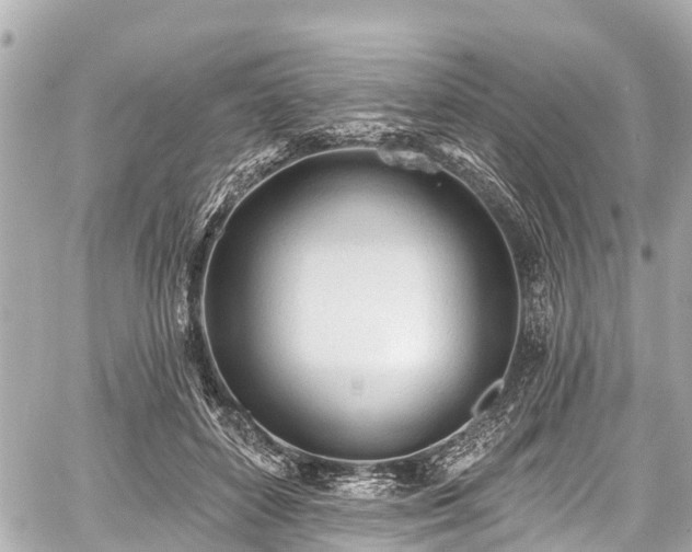 X0000059060504200510101052