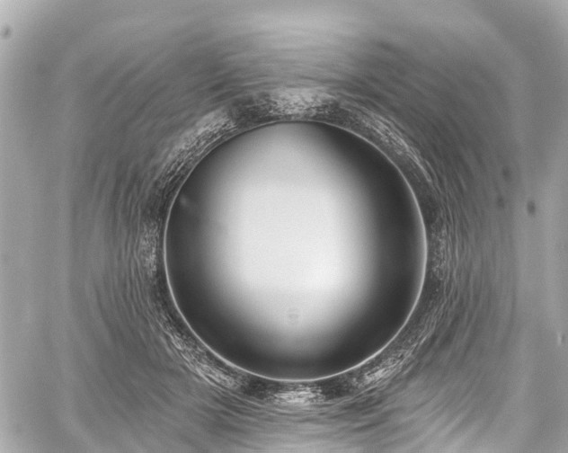 X0000059060505200510101052