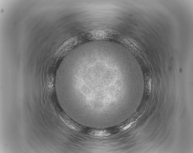 X0000059060507200510101052