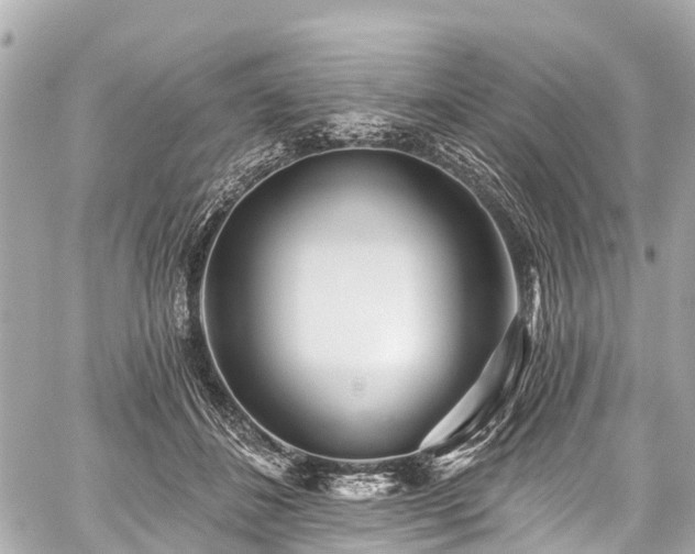 X0000059060508200510101052