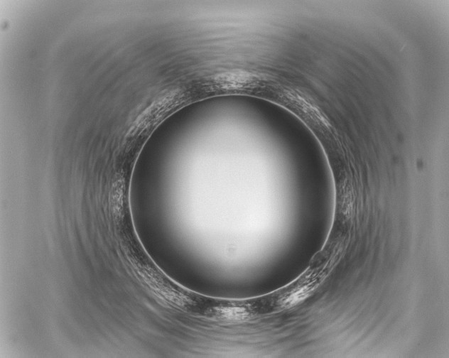 X0000059060509200510101052