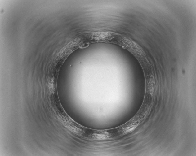 X0000059060510200510101052