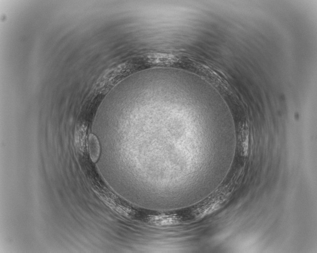 X0000059060511200510101052