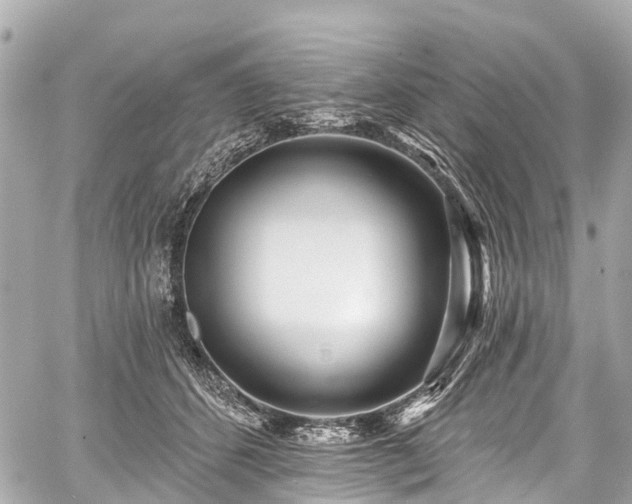 X0000059060512200510101052