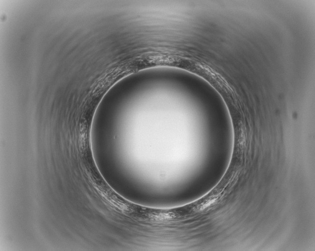 X0000059060513200510101052