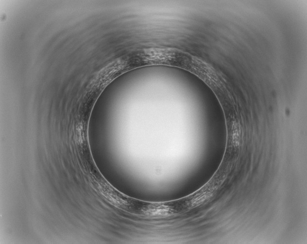 X0000059060514200510101052