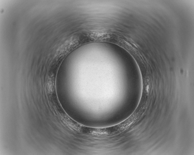 X0000059060515200510101052