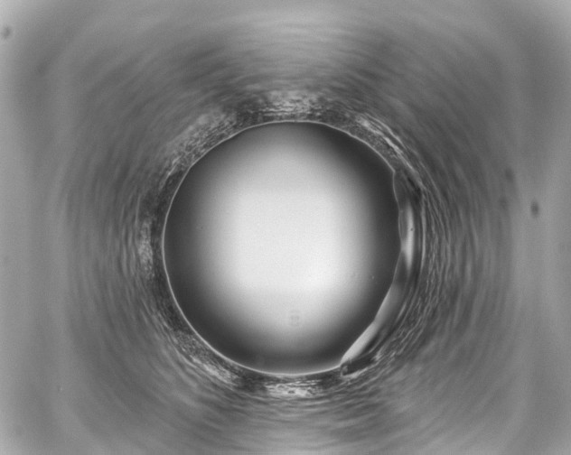 X0000059060516200510101052