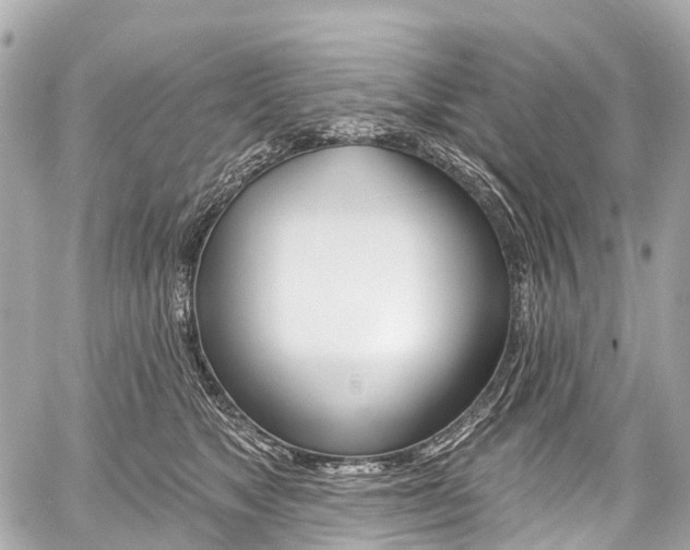 X0000059060517200510101052